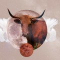 Astrological Forecast for Taurus: What the Stars Have in Store for You