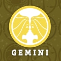 An Astrological Forecast for Gemini: What the Stars Have in Store for You