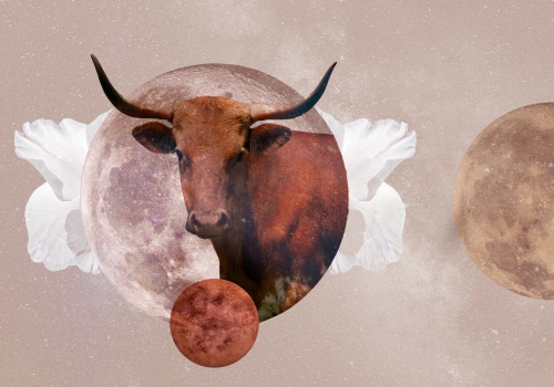 Astrological Forecast for Taurus: What the Stars Have in Store for You